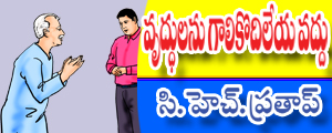 Vruddhulanu galikodileya vaddu